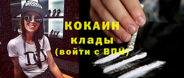 шишки Алексин
