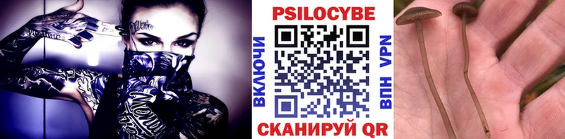 купить наркоту  Заозёрный  Галлюциногенные грибы Psilocybine cubensis 
